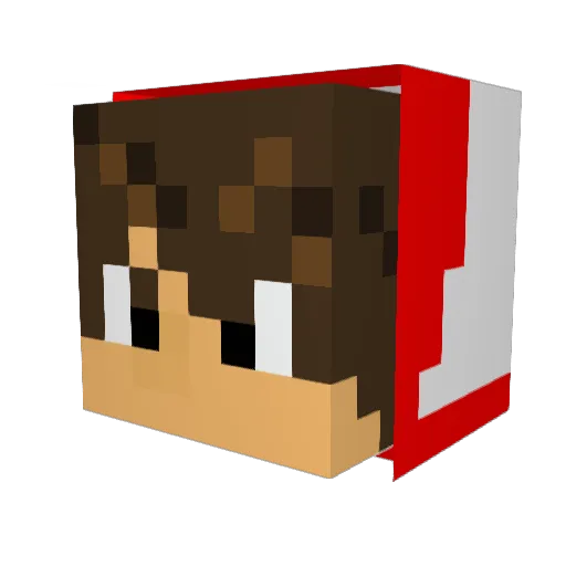 Foostron Minecraft avatar head, 3D render