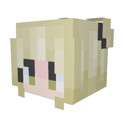 FootBiitch Minecraft avatar head, 3D render