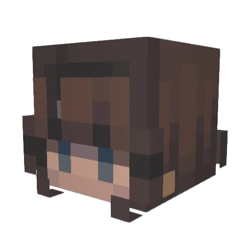 FootDemolisher Minecraft avatar head, 3D render