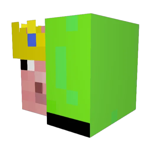 FootLongInMybum Minecraft avatar head, 3D render