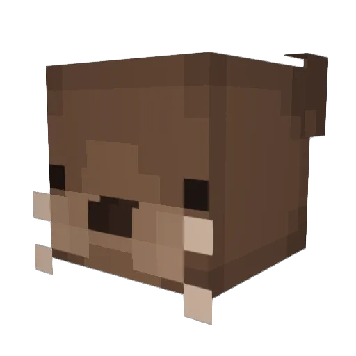 FootballCoach Minecraft avatar head, 3D render