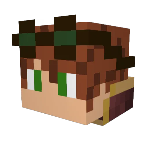 FootballLax60 Minecraft avatar head, 3D render