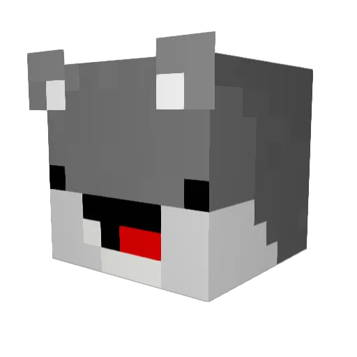 FootballPhanatic Minecraft avatar head, 3D render