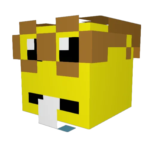 Footi_Baby Minecraft avatar head, 3D render