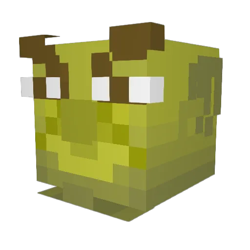 FootofDoom Minecraft avatar head, 3D render