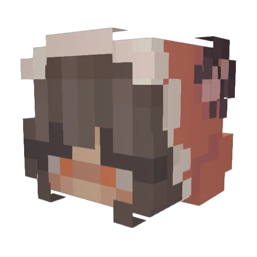 Fooxy_ Minecraft avatar head, 3D render