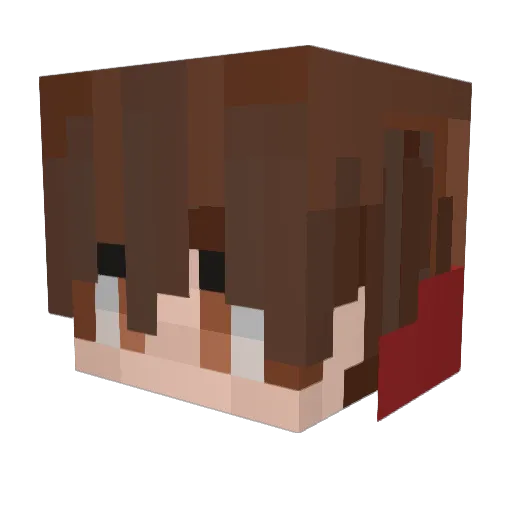 Foplence Minecraft avatar head, 3D render