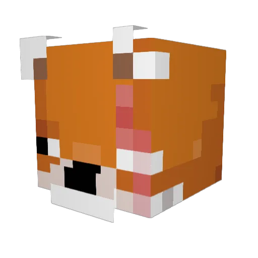 ForFoxZake Minecraft avatar head, 3D render