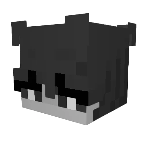 ForNicelol Minecraft avatar head, 3D render
