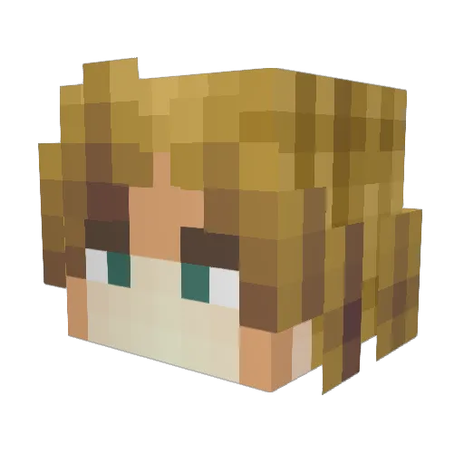 Forance Minecraft avatar head, 3D render