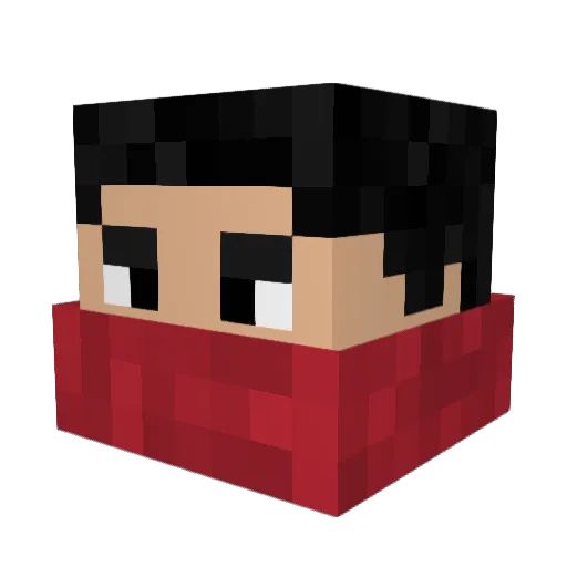 Forbesb294 Minecraft avatar head, 3D render