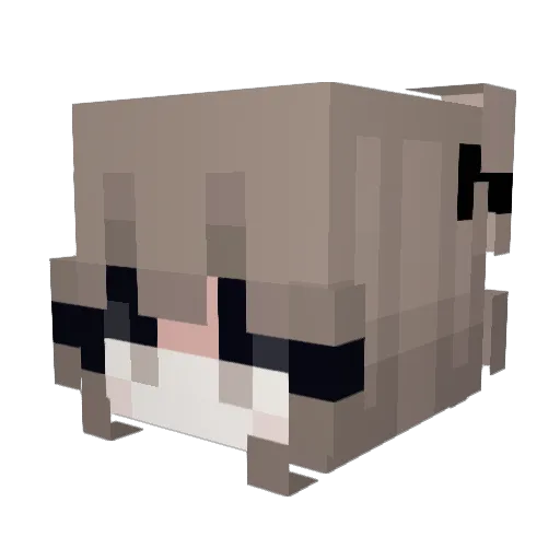ForbiddenLoli Minecraft avatar head, 3D render