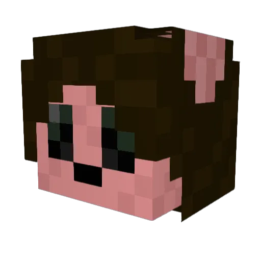 ForbiddenSlugcat Minecraft avatar head, 3D render
