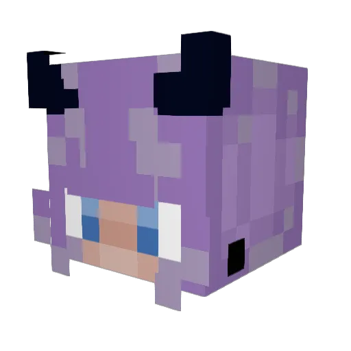 ForbiddenSnow13 Minecraft avatar head, 3D render