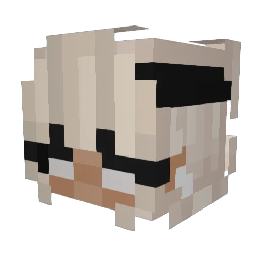 Forbids Minecraft avatar head, 3D render