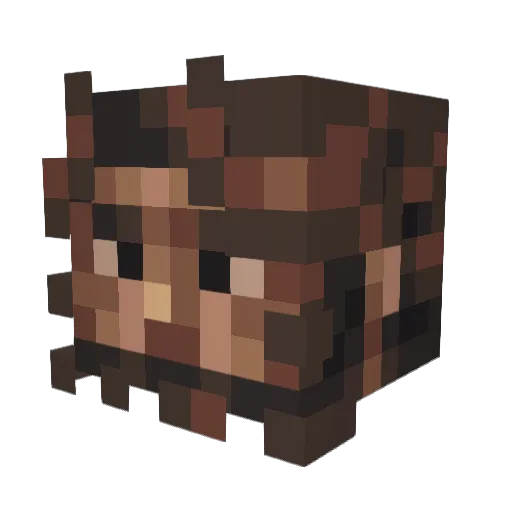 Force2115 Minecraft avatar head, 3D render