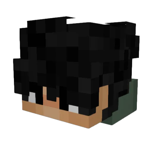 Force7501 Minecraft avatar head, 3D render