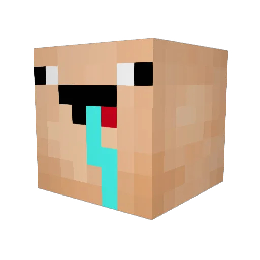 ForceCraft_ Minecraft avatar head, 3D render