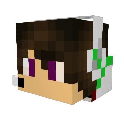 ForceFelPro277 Minecraft avatar head, 3D render