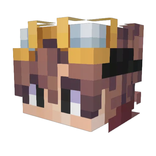 ForceMCSR Minecraft avatar head, 3D render
