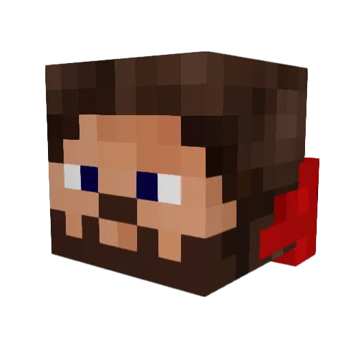 Forceb6 Minecraft avatar head, 3D render