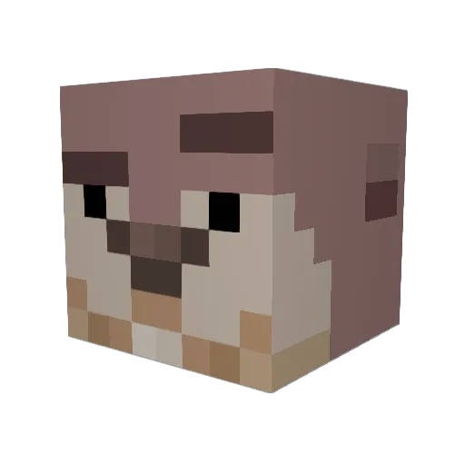 ForcexDeity Minecraft avatar head, 3D render