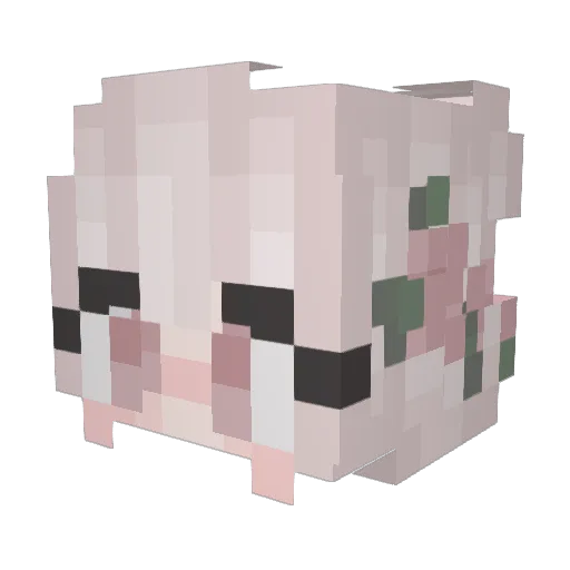 ForciblyPolluted Minecraft avatar head, 3D render