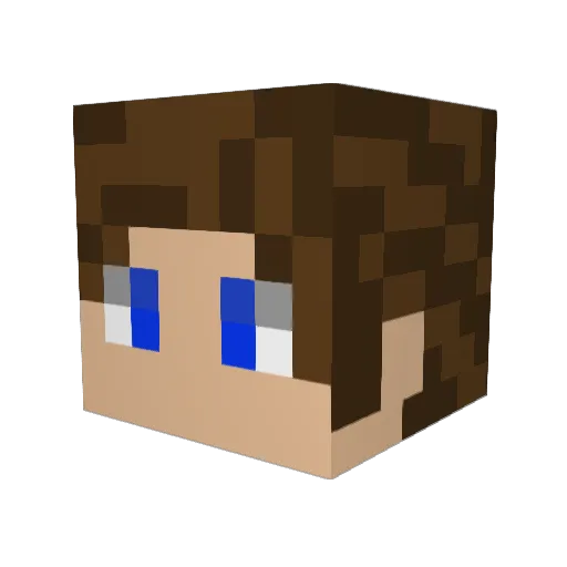 FordMan67 Minecraft avatar head, 3D render
