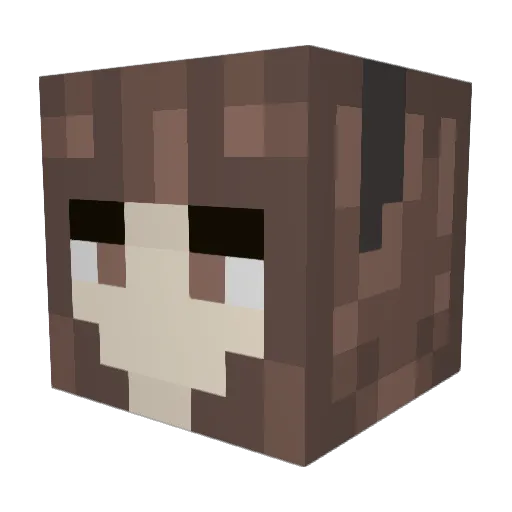 ForddeMC124 Minecraft avatar head, 3D render