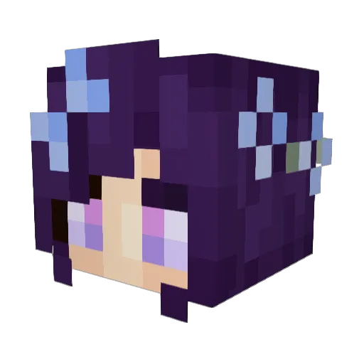 Fordham_Family Minecraft avatar head, 3D render