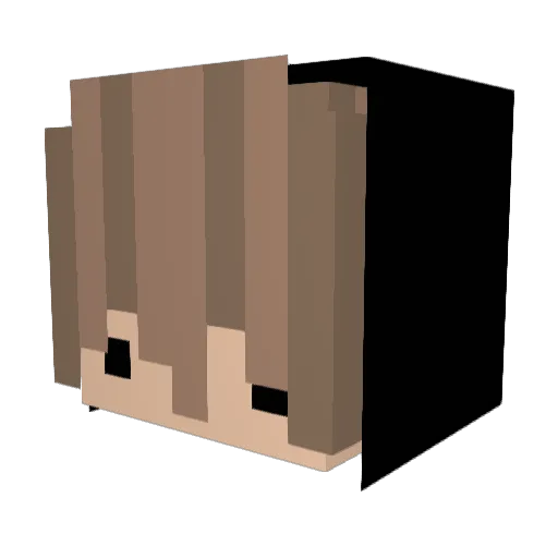 Fordievo Minecraft avatar head, 3D render