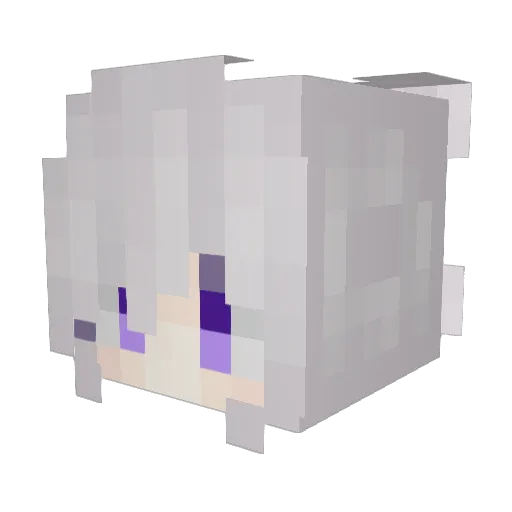 Fore_lsket Minecraft avatar head, 3D render