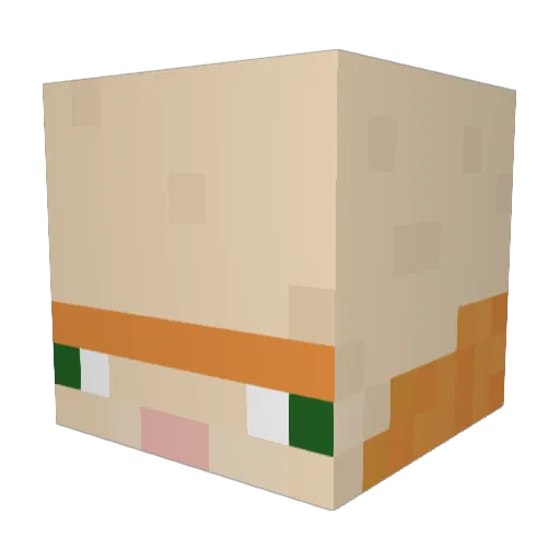 ForeheAdbid Minecraft avatar head, 3D render