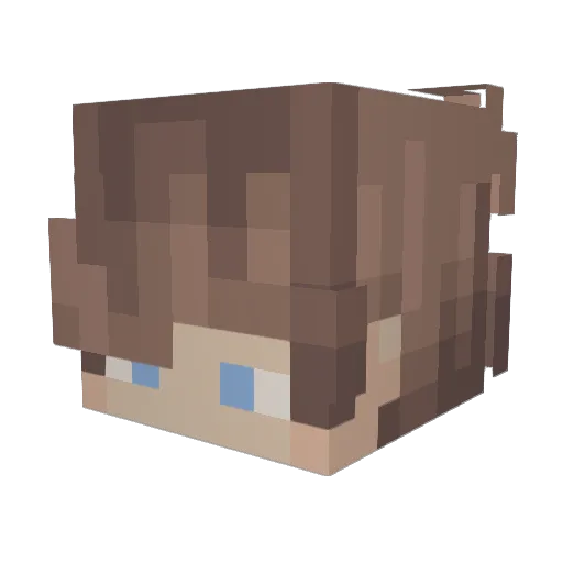 Forehead_Boi Minecraft avatar head, 3D render