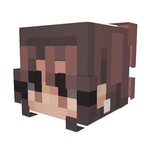 ForeignMitten1 Minecraft avatar head, 3D render