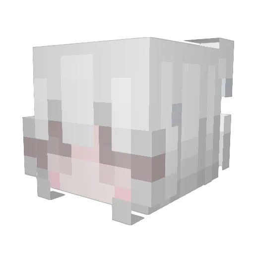 Forest152 Minecraft avatar head, 3D render