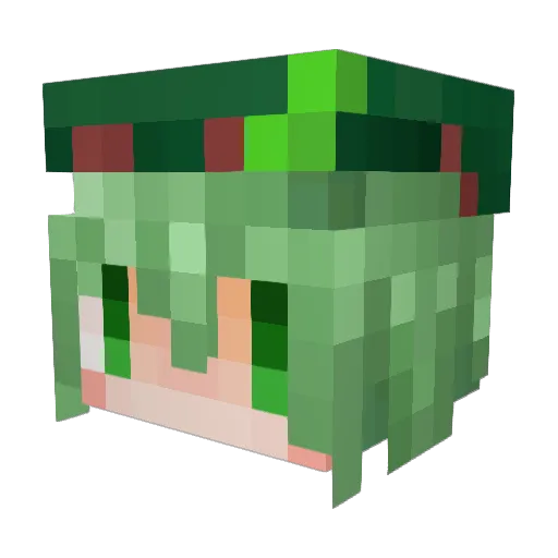 Forest5869 Minecraft avatar head, 3D render