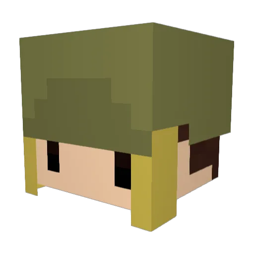 Forest96 Minecraft avatar head, 3D render