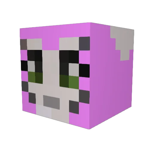 ForestFire9988 Minecraft avatar head, 3D render
