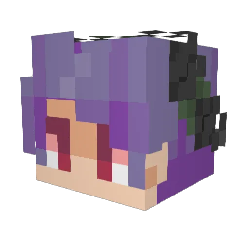 Forestsaver Minecraft avatar head, 3D render