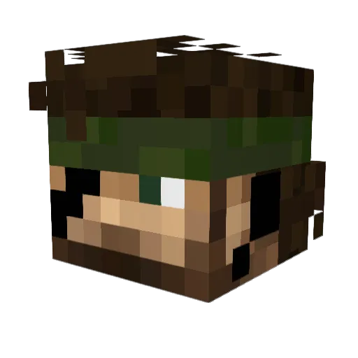 Forestsnake01 Minecraft avatar head, 3D render