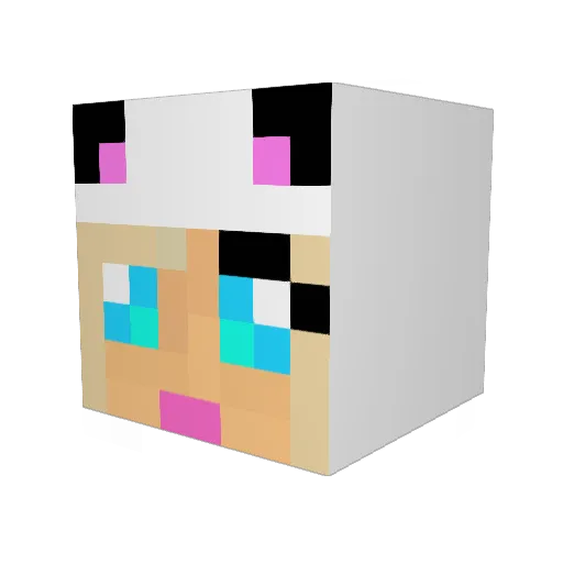 ForeveRylee Minecraft avatar head, 3D render