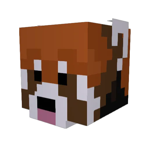 Forever1996x6 Minecraft avatar head, 3D render