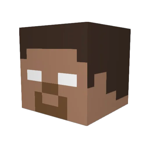 ForeverASeahawk Minecraft avatar head, 3D render
