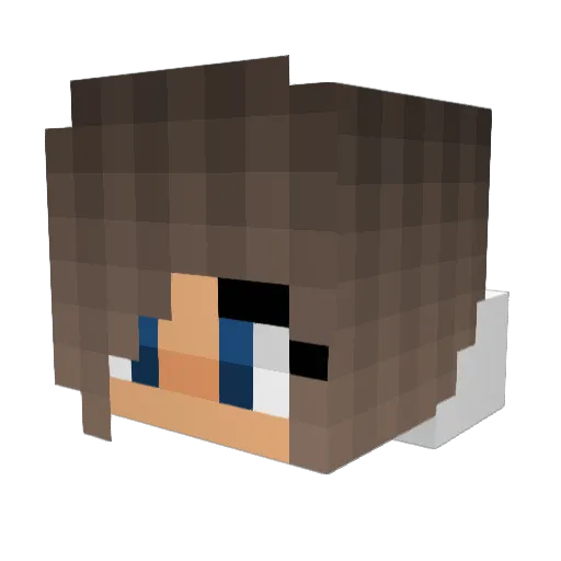 ForeverLife_ Minecraft avatar head, 3D render