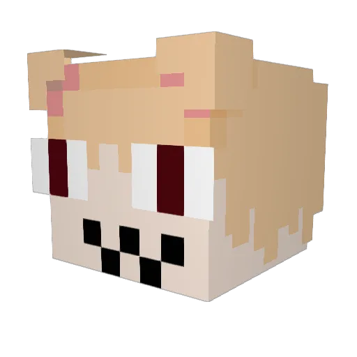 ForeverPotato135 Minecraft avatar head, 3D render