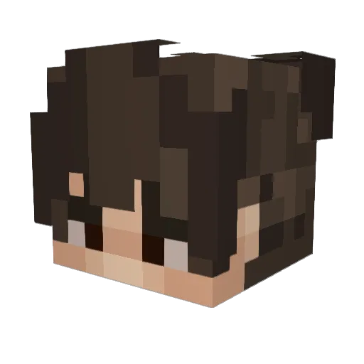 ForeverVlone94 Minecraft avatar head, 3D render