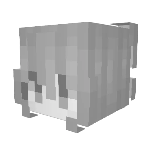 Forever_Echo Minecraft avatar head, 3D render