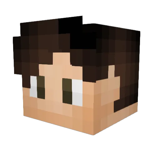 Forever_Hectic Minecraft avatar head, 3D render