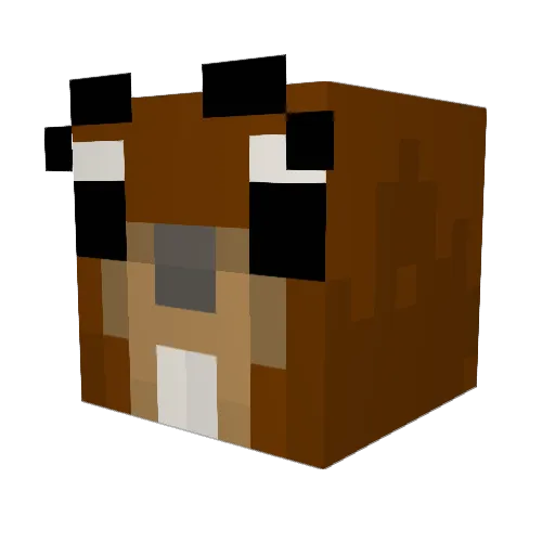 Forever_Sunshine Minecraft avatar head, 3D render
